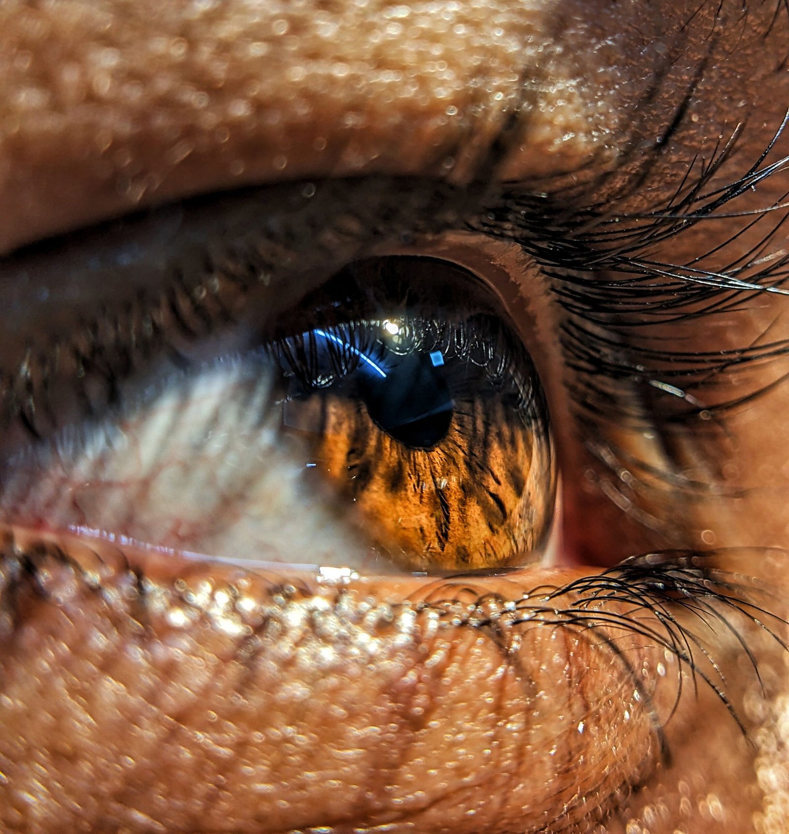 Macro shot of a human brown eye showcasing eyelashes and reflections, creating a detailed and intimate portrait.